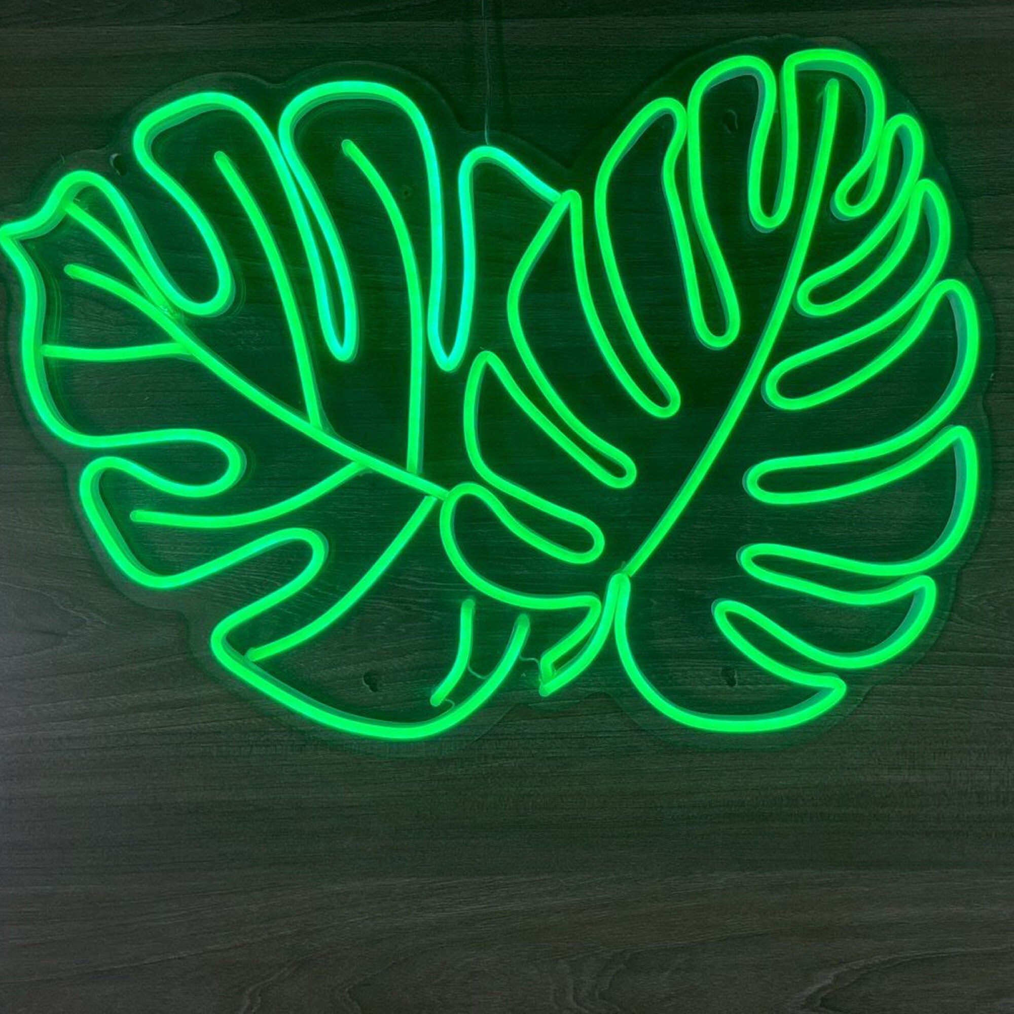 Handcrafted Monstera Leaf Neon Sign, Green LED Light - Etsy UK