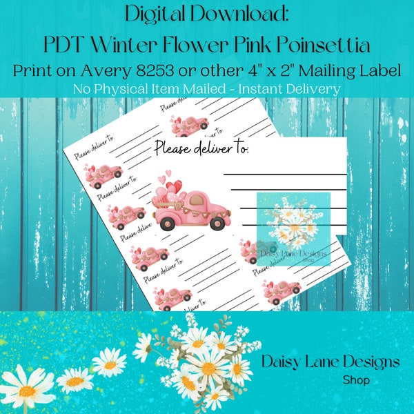 PDT Valentine Delivery Digital Download Printable 2" x 4" Shipping Labels Please Deliver To Pen Pal RAK Secret Sister Swap Tag Wishes