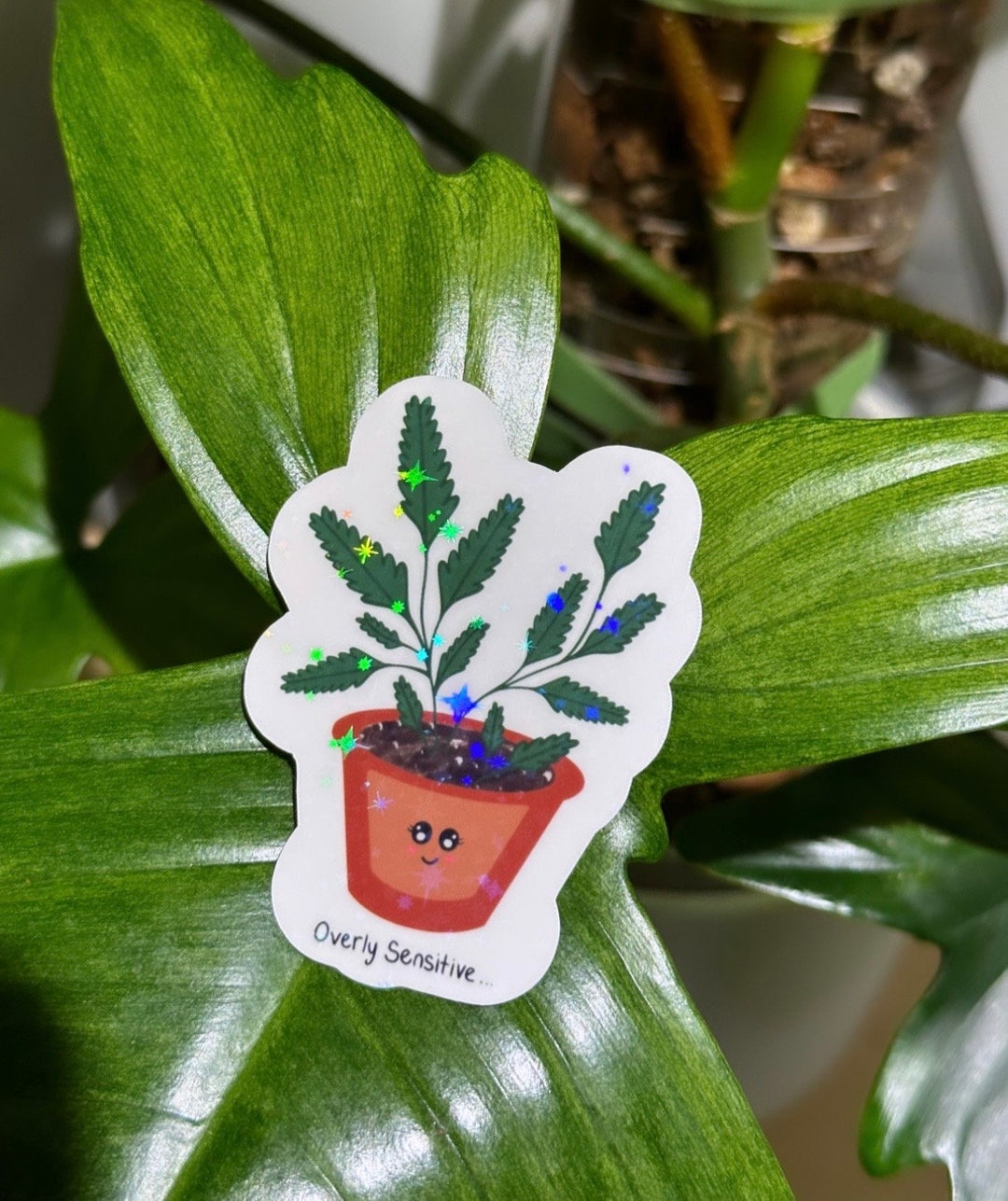 Overly Sensitive Sticker, Sensitive Plant, Plant Sticker, Kawaii ...
