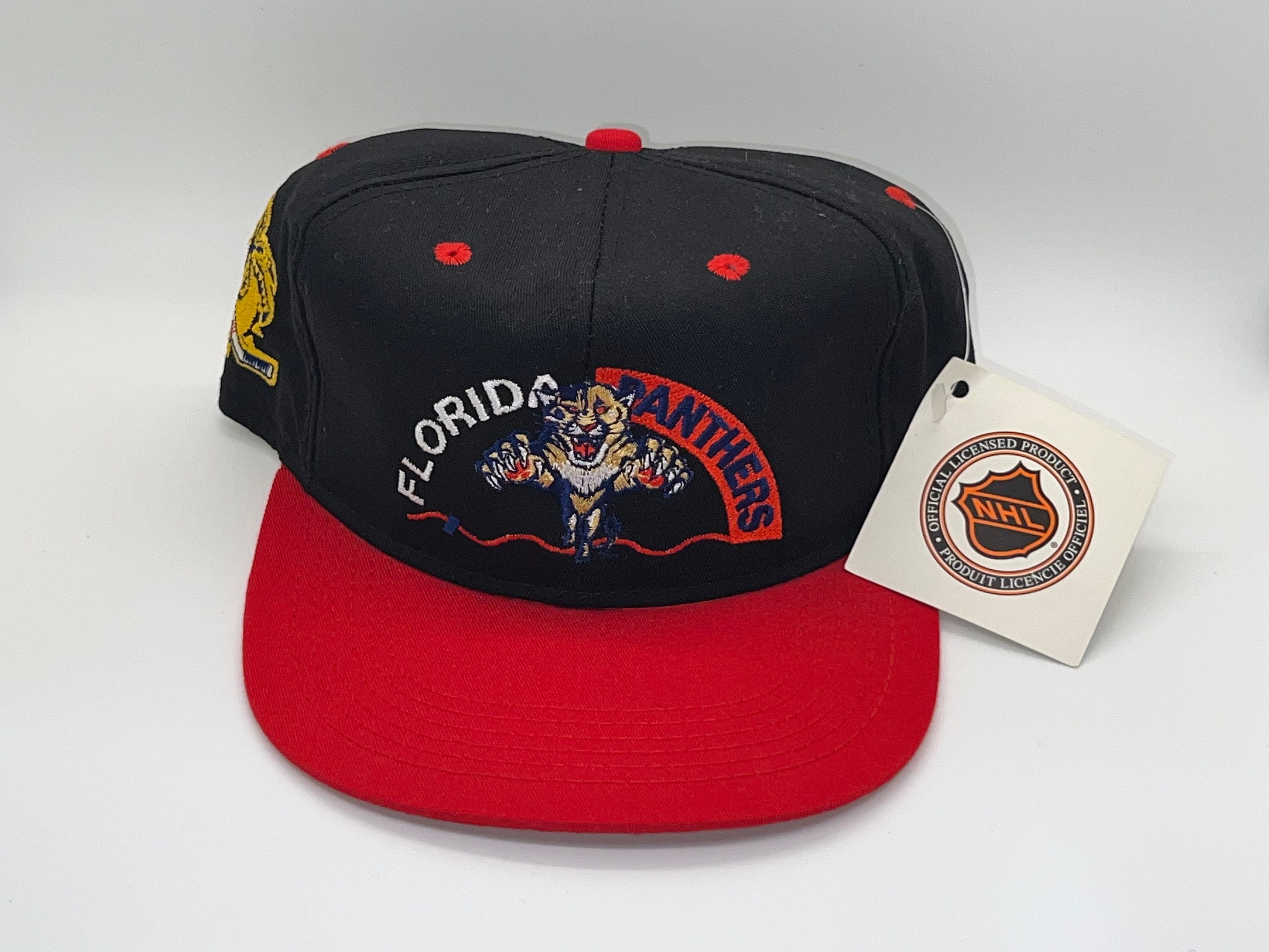 Vintage Florida Panthers Hat - Etsy