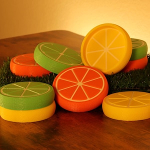 Citrus Fruit Disc Golf Mini | Disc Golf | Disc Golfer Gift | Fruit Disc Golf Mini Marker | Mini Disc | PDGA Legal Mini | PDGA Mini Marker