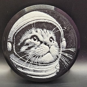 May include: A black and white image of a cat wearing an astronaut helmet. The cat is looking to the right and has a serious expression on its face.