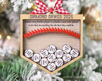 Personalized Baseball Ornament, 4D Shaker, Thank You Coach Gift