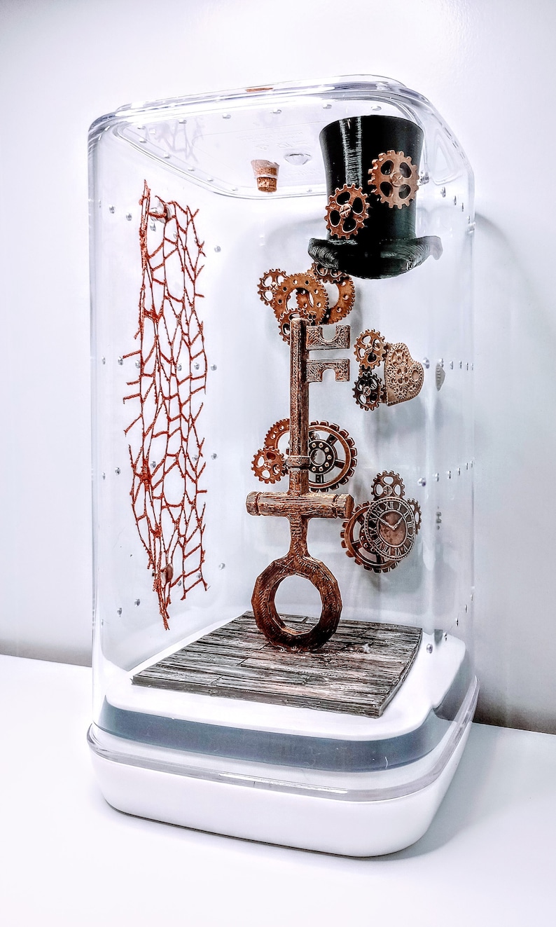 Jumping Spider Enclosure, Steampunk Enclosure, Acrylic Enclosure With