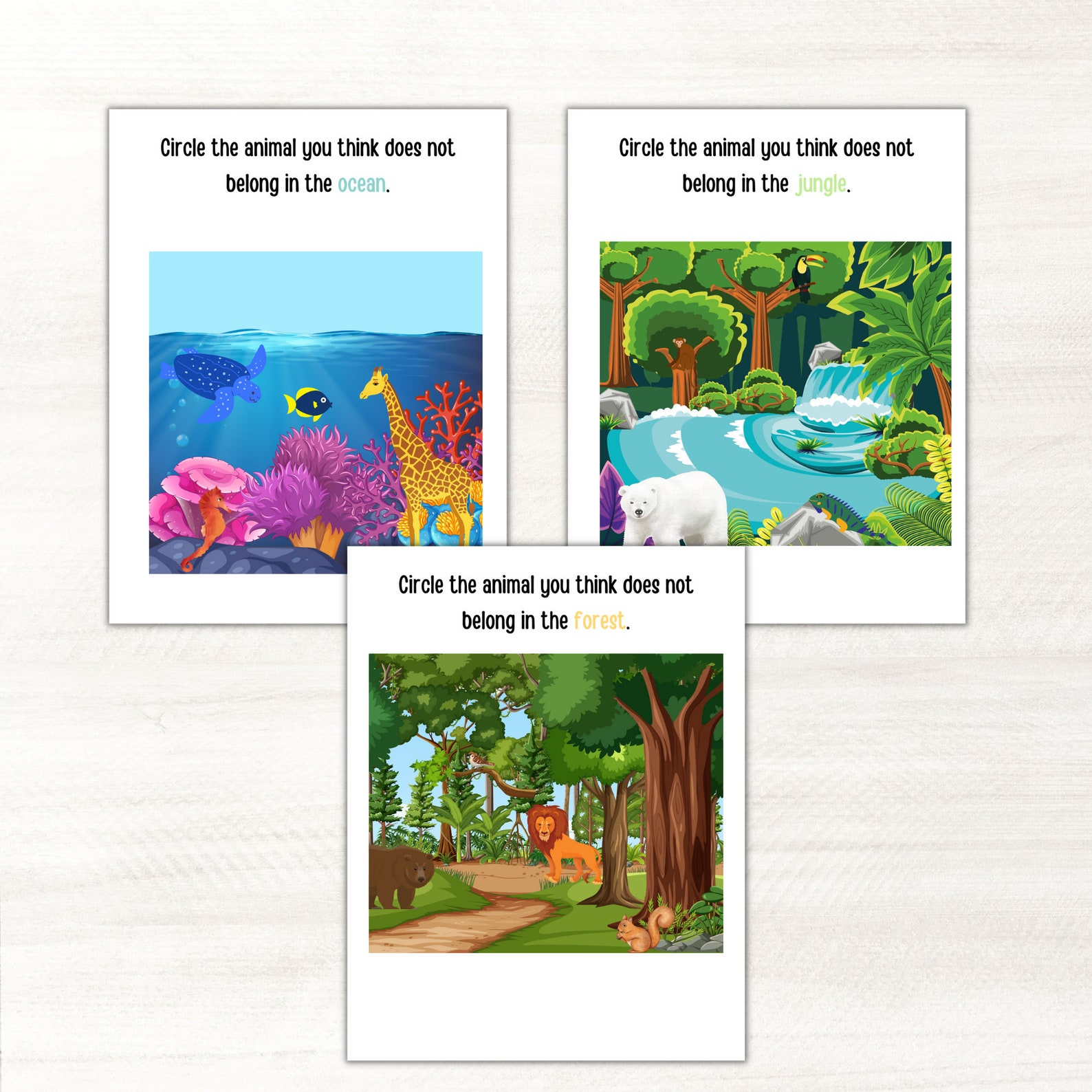 Pre-k Science Worksheets, Preschool Learning Printable, Pre-k
