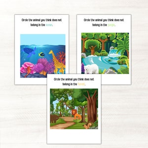 May include: Three educational worksheets with colorful illustrations. Each worksheet features the text "Circle the animal you think does not belong in the..." followed by a different environment: ocean, jungle, and forest.