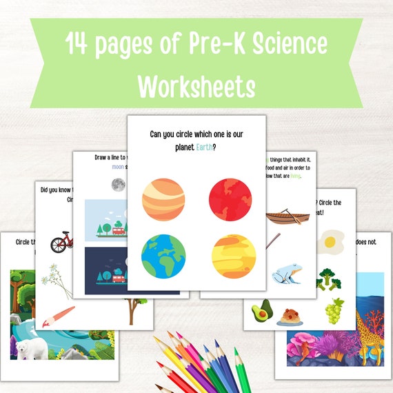 Pre-K Science Worksheets, Preschool Learning Printable, Pre-K Worksheets, Kids Science Worksheets, Homeschool Printable, Preschool Science