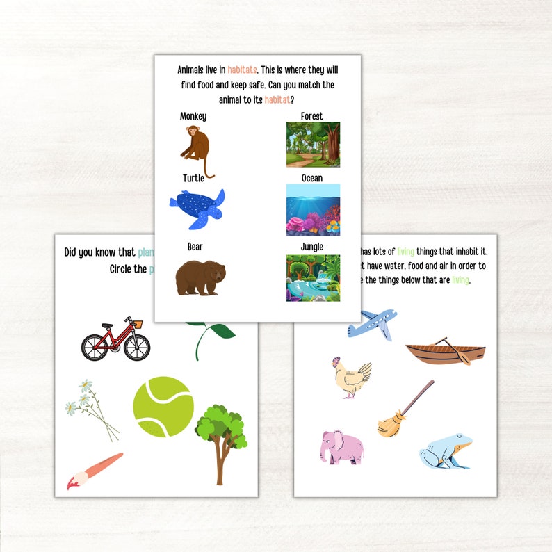 May include: Educational worksheets with colorful illustrations. One worksheet asks to match animals to their habitats: forest, ocean, and jungle. Another worksheet features a bicycle, flowers, and a tennis ball. The third worksheet has a plane, boat, and frog.