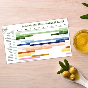Op de afbeelding: Een grafiek met de titel "Australische Fruit Oogst Gids" toont de oogstmaanden voor verschillende vruchten, waaronder appels, abrikozen, bananen, bramen, bosbessen, kersen, vijgen, citroenen, limoenen, mandarijnen, sinaasappelen, perziken, peren, pruimen, frambozen, meloenen, aardbeien en watermeloenen.