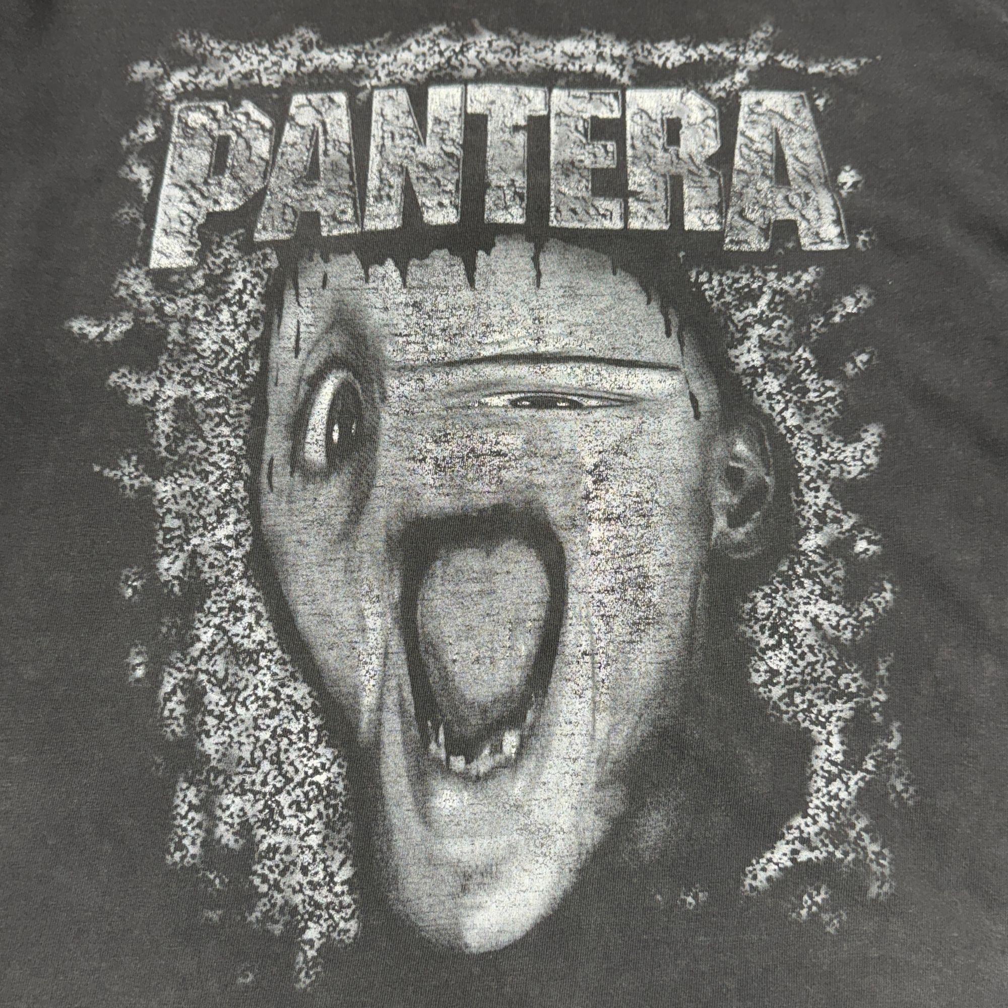 90年代ヴィンテージ パンテラ グラフィックTシャツ：ダメージ加工 