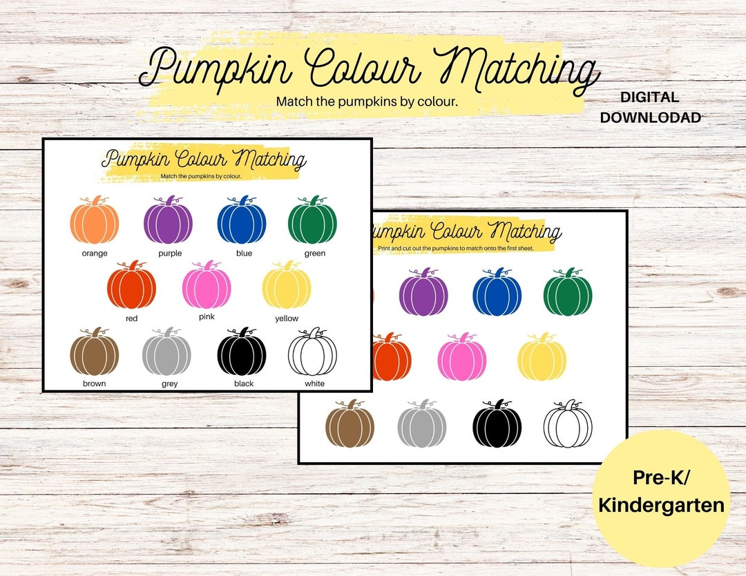 Pumpkin Colour Matching Printable Pre School Kindergarten - Etsy