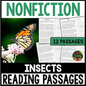 Sachtexte Leseverstehen Passagen und Fragen über Insekten Sachtexte Informationspassagen mit Fragen Alphabetisierung