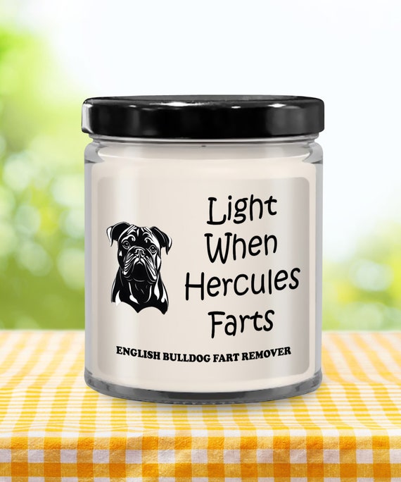 Dog odor candles online
