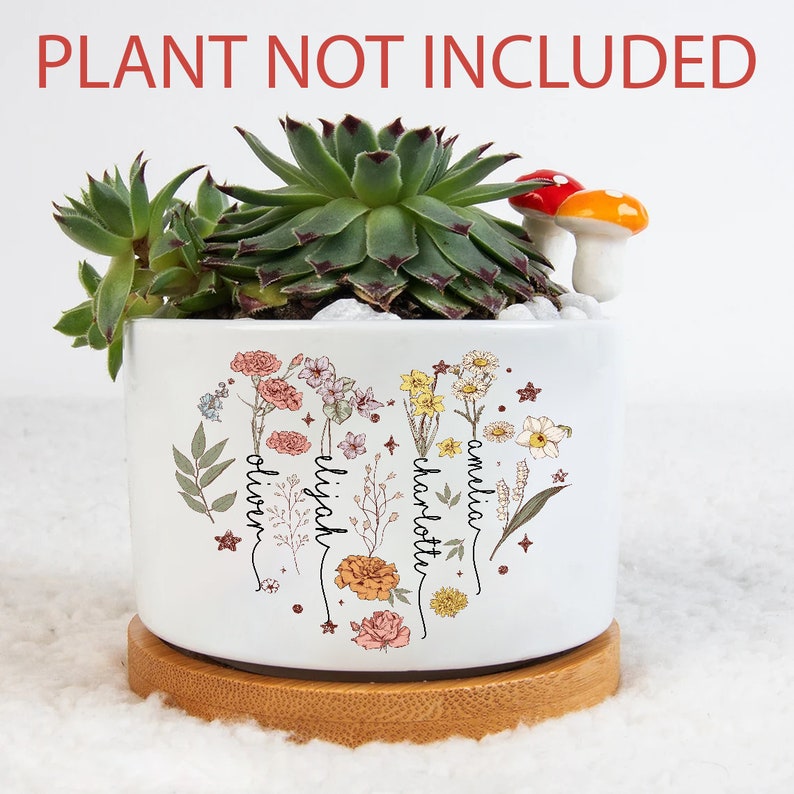 Pot de fleur personnalisé pour le mois de naissance, cadeau pour les amateurs de jardinage, pot de fleur d'extérieur, fleurs de naissance pour maman, cadeau pour la fête des mères image 7