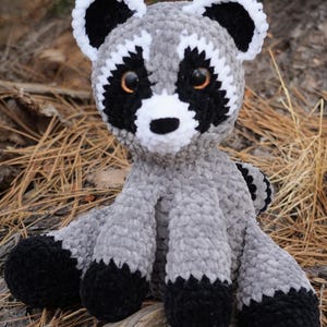 River the Raccoon