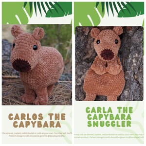 May include: Two crochet capybara plushies. One is standing with the text "CARLOS THE CAPYBARA". The other is sitting with the text "CARLA THE CAPYBARA SNUGGLER". Both are brown with black eyes and a darker brown snout.