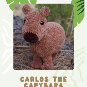May include: A handmade, plush capybara toy in shades of brown, with small ears and black eyes. The text "CARLOS THE CAPYBARA" is displayed below the toy. The toy is set against a natural background with green leaf accents.