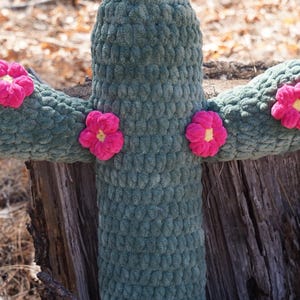 Large Saguaro Cactus Pillow