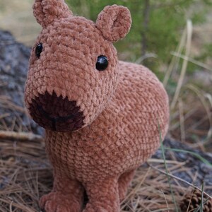 May include: A handmade, plush brown capybara stuffed animal with black eyes and a dark brown snout. The crochet animal is standing on a bed of pine needles with a blurred natural background.