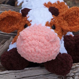 Cassie the Cow