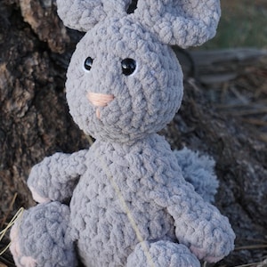 Bramble the Bunny