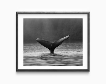 Whale's Tale Above The Water - Black And White Photography Wall Art - Whale Wall Art - Minimalistic Wall Decor - Ocean Wall Art -Whale Print