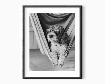 Dog with Cool Sunglasses On a Hamook Black And White Photography Wall Art - Minimalistic Wall Decor - Pet Portrait Poster - Dog Print