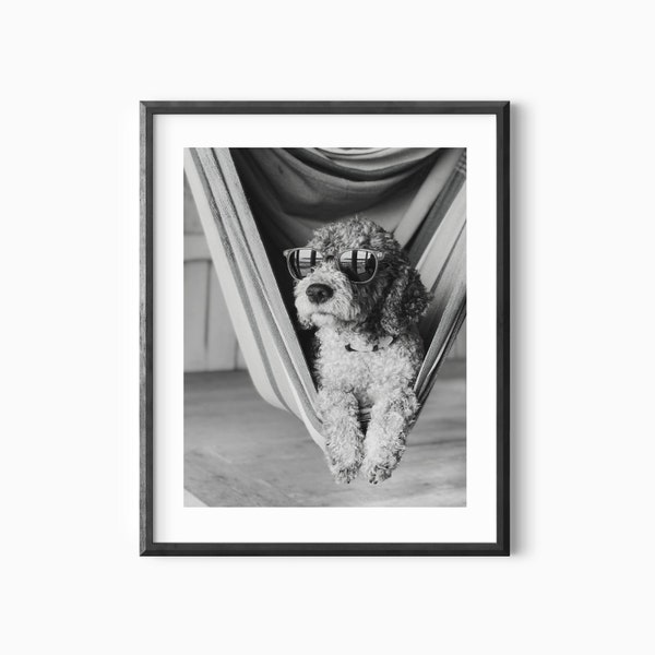 Chien avec des lunettes de soleil cool sur un Hamook Photographie en noir et blanc Art mural - Décor mural minimaliste - Affiche de portrait d’animal de compagnie - Impression de chien