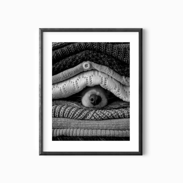 Dog Hiding between Sweaters Black and White Photography Wall Art - Minimalistic Wall Decor - Dog Printable Wall Art - Animal Poster