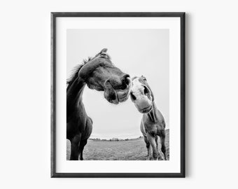 Horses Black And White Photography Wall Art - Horses Printable Poster - Funny Animals Print - Horses Print - Minimalistic Wall Decor