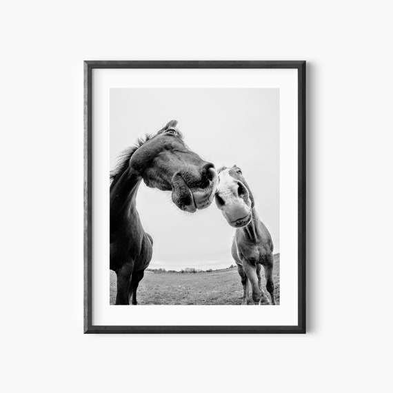 Horses Black and White Photography Wall Art Horses Printable Etsy
