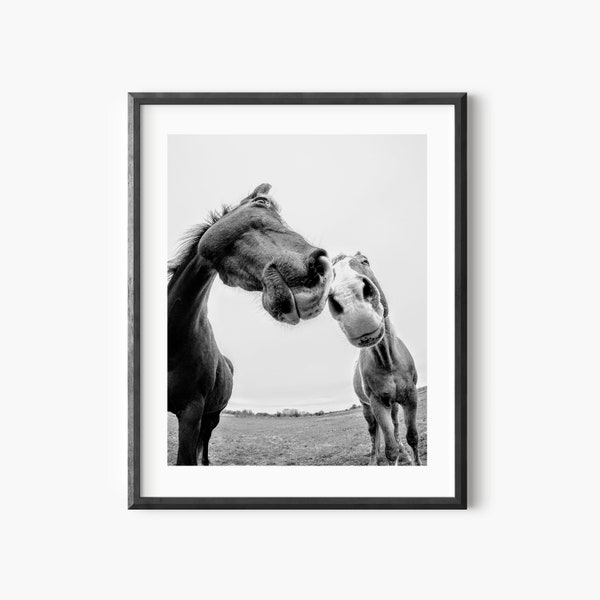 Horses Black And White Photography Wall Art - Horses Printable Poster - Funny Animals Print - Horses Print - Minimalistic Wall Decor