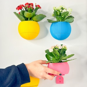 Può includere: Tre vasi da parete con vasi di diversi colori e fiori. I vasi sono gialli, blu e rosa. I fiori sono bianchi e rossi.