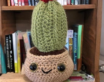Crochet Cactus Decor: Smiley Face Potted Plant