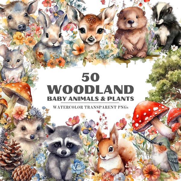 50 Woodland Animals Watercolor Clipart, Nursery Woodland, Baby Animals PNG, Transparent PNGs, Nursery Clipart, Fox, Deer, Commercial Use