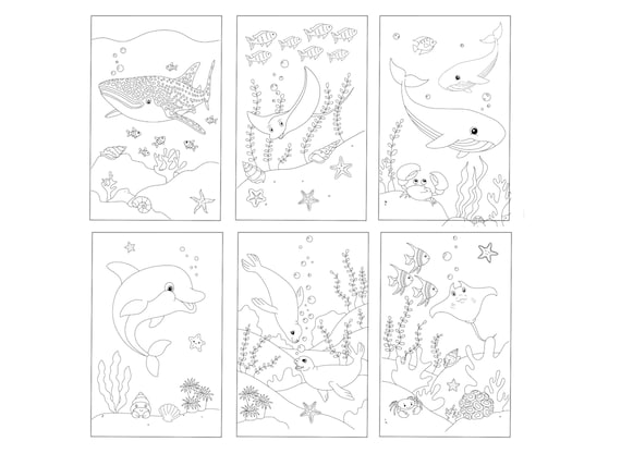 BUNDLE: 40 Water Sea Animal Coloring Pages - 0ver 3 different Coloring Books