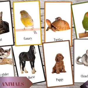 Pet animals - 25 cards with real pictures - Montessori Nomenclature flashcards  – Digital download, homeschooling, student, educational toy