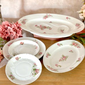 Set of Limoges porcelain dishes