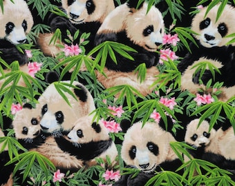 Panda Bears, Elizabeth's Studio - 100% Cotton Fabric - Quilting, Dressmaking  & Craft Cotton. Realistic Zoo Animals