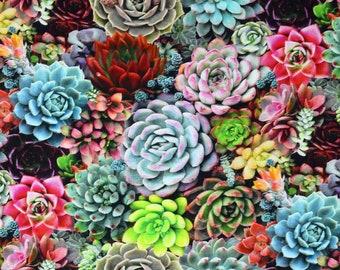 100% Cotton Fabric - Succulents - Elizabeth's Studio - Quilting, Dressmaking  & Craft Cotton, Realistic Plants, Leaves