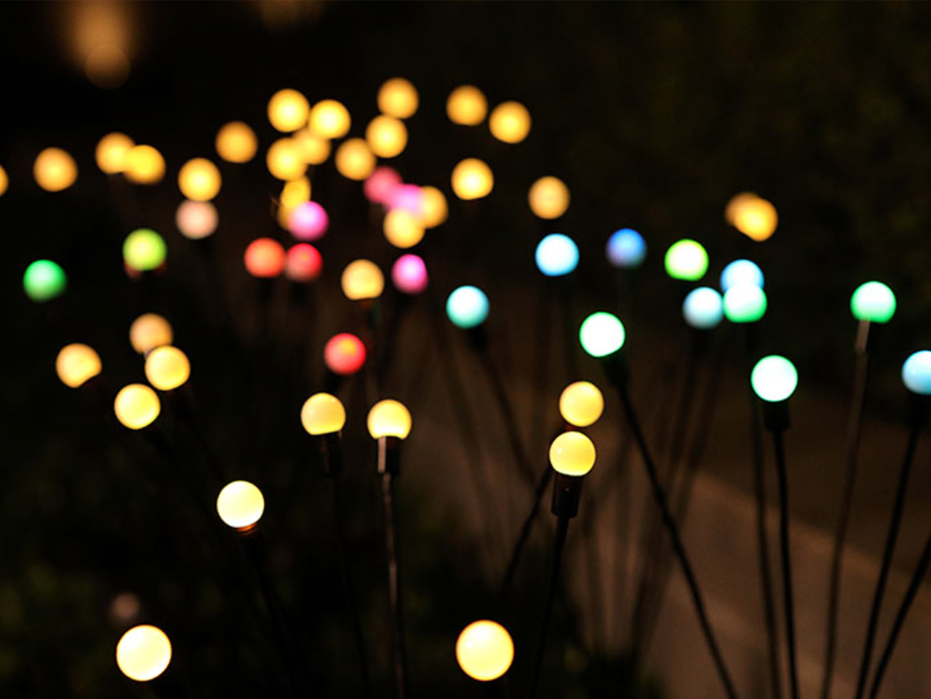 12 Pack] LED Bouteille Guirlande Lumineuse Blanc Chaud, 2m 20 LED Lampes de  Bouteille Lumière Fil en Cuivre Décoration pour Noël, Partie, Mariage,  Jardin,Pelouse[Classe énergétique A+++] : : Luminaires et Éclairage