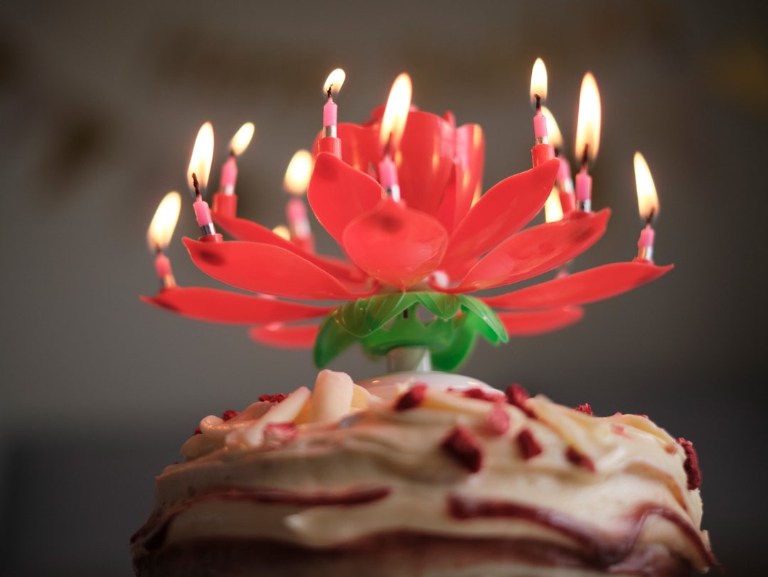 Music Birthday Candle Musical Lotus Birthday Candle Birthday Etsy