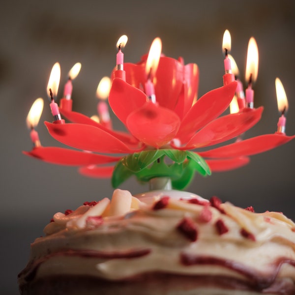 Bougie d'anniversaire musicale, bougie d'anniversaire musicale lotus, gâteau d'anniversaire cadeau surprise, bougie musicale tournante lumineuse, décoration de bougie pour gâteau d'anniversaire