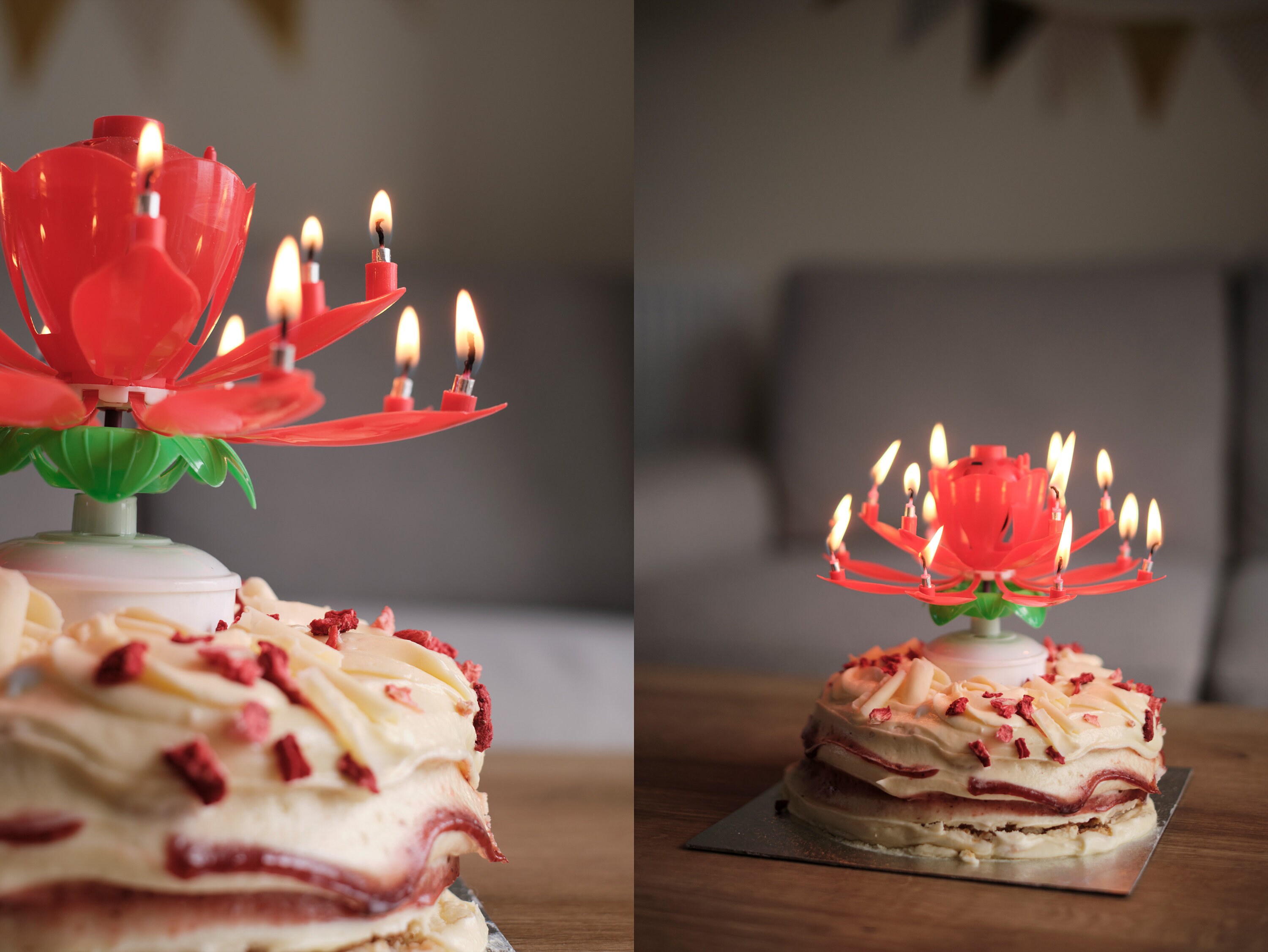 Music Birthday Candle Musical Lotus Birthday Candle Birthday Etsy