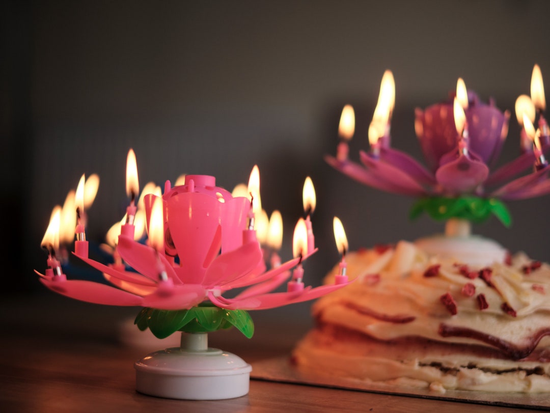 Music Birthday Candle, Musical Lotus Birthday Candle, Birthday Cake