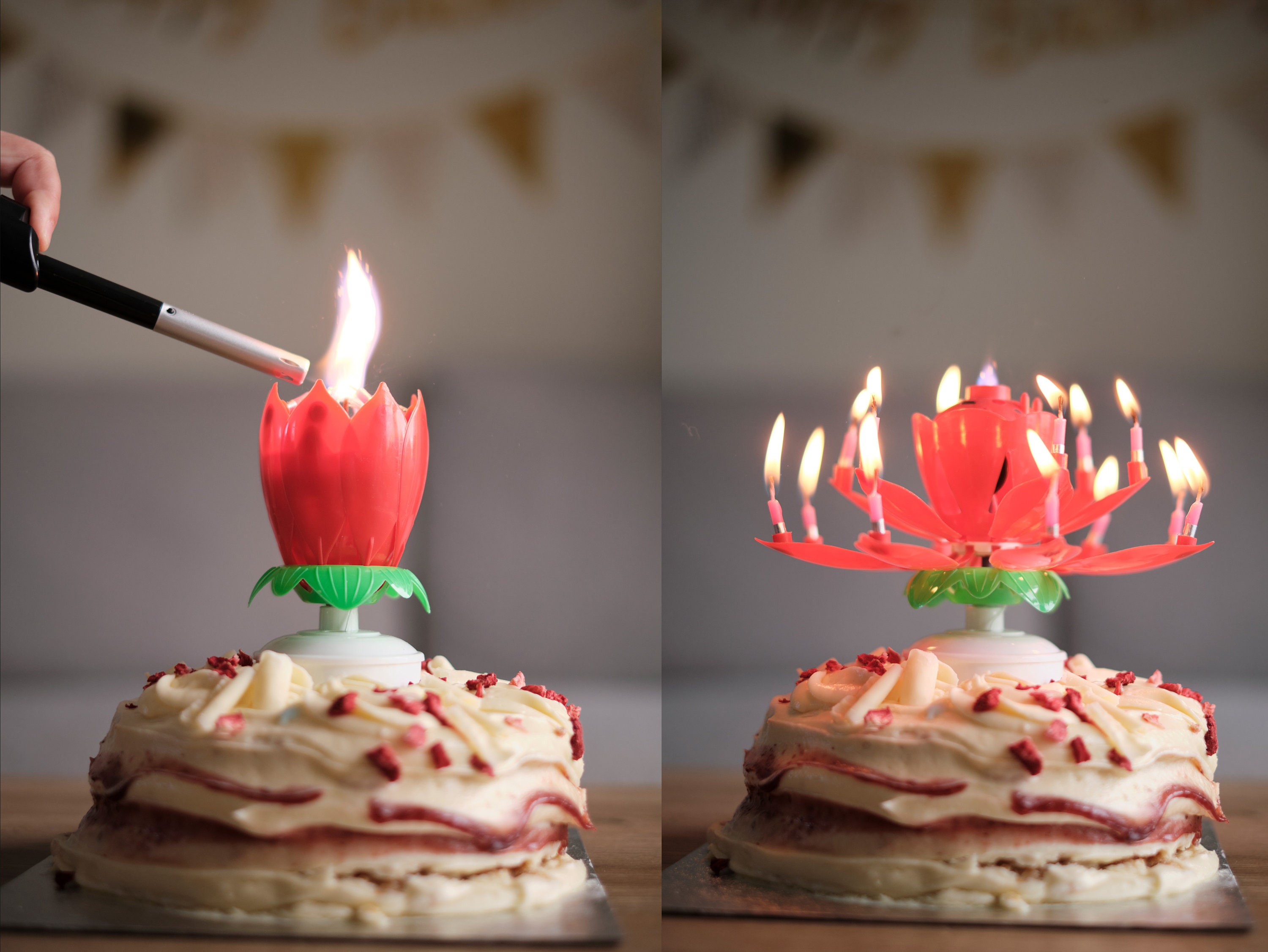 Music Birthday Candle Musical Lotus Birthday Candle Birthday Etsy