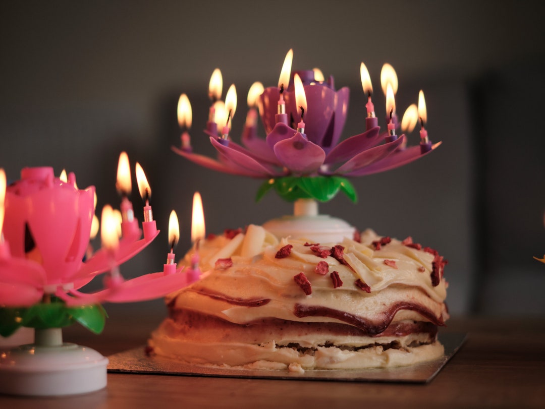 Music Birthday Candle, Musical Lotus Birthday Candle, Birthday Cake