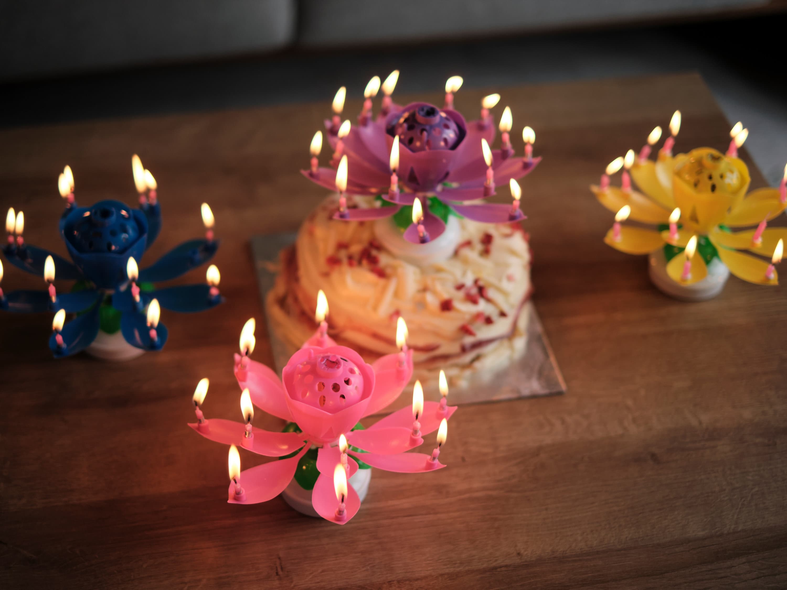 Music Birthday Candle Musical Lotus Birthday Candle Birthday Etsy