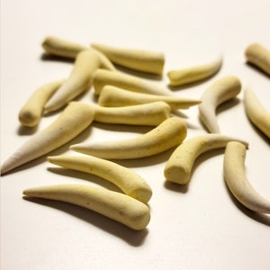 Dragon Tooth (Style 2) | Polymer Clay Dragon Tooth for jewelry and craft making (Set of 5)