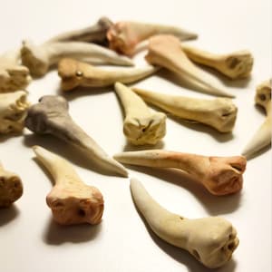 Dragon Tooth (Style 3)| Polymer Clay Dragon Tooth for jewelry and craft making (Set of 5)